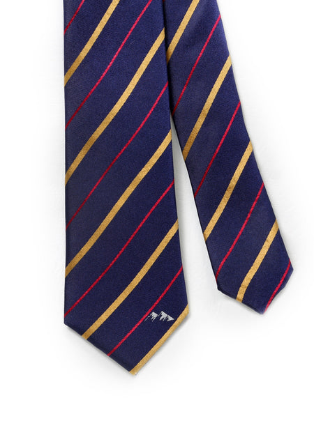 Washington D.C. Tie