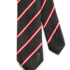 Washington D.C. Flag Tie